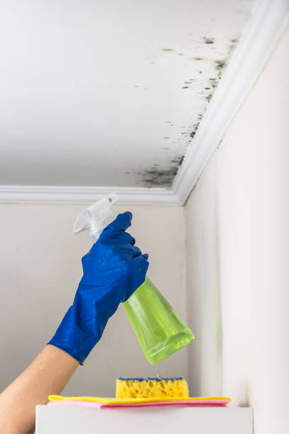Best Post-Remediation Services in Garden Acres, CA